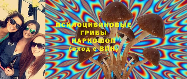 амф Беломорск