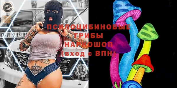 амф Беломорск