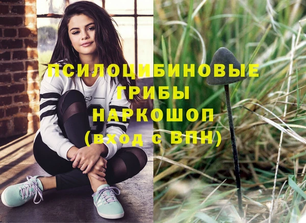 экстази Белокуриха
